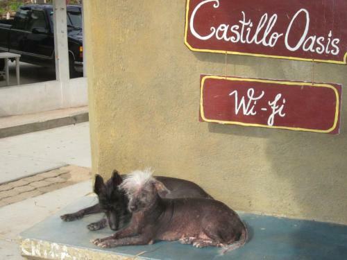 Hostal Castillo Oasis