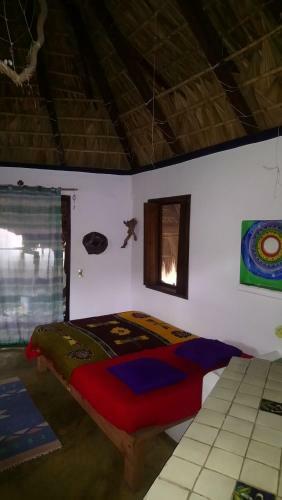 Hostal Castillo Oasis