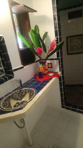 Hostal Castillo Oasis