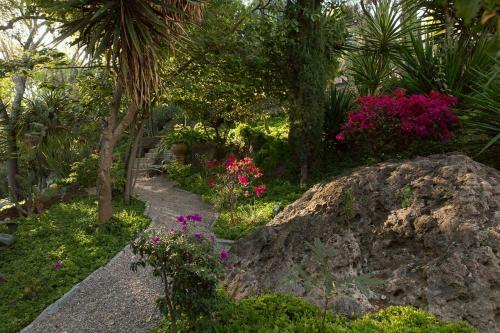 La Casa Del Pirul - Boutique Villas Xichu