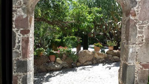 La Casa Del Pirul - Boutique Villas Xichu