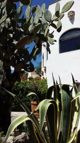La Casa Del Pirul - Boutique Villas Xichu