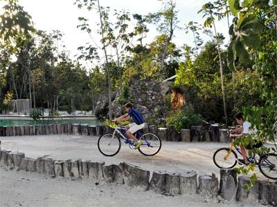 Lodge Jolie Jungle