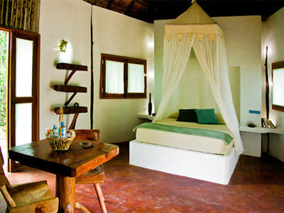 Lodge Jolie Jungle