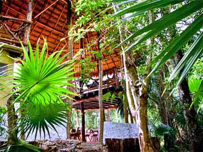 Lodge Jolie Jungle