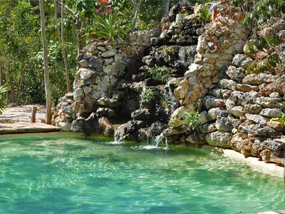Lodge Jolie Jungle
