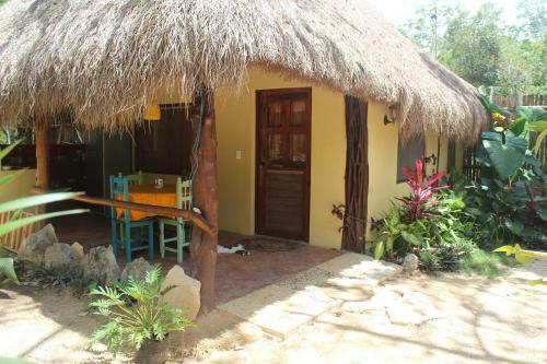Bed & Breakfast Casa Selva Orquideas
