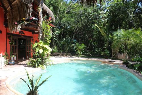 Bed & Breakfast Casa Selva Orquideas