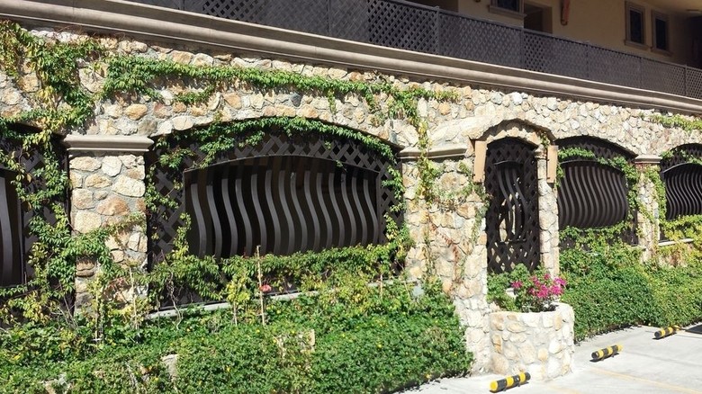 Cabo Vista Hotel