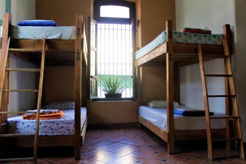 Albergue Hikuri Eco Hostal