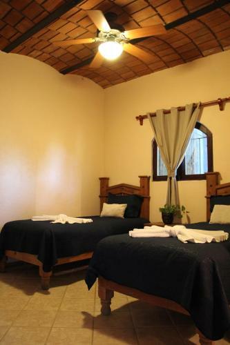 Hotel Villas Vista Suites