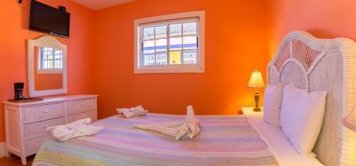 Hotel Bocas Town