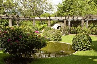 Casa Bugambilia, Un Peque�o Hotel En Tepoztl�n