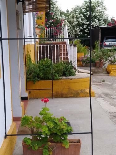 Agroturismo El Antiguo Molino