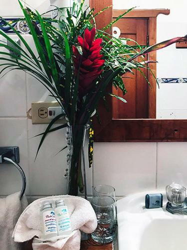 Hotel Bocas Del Toro