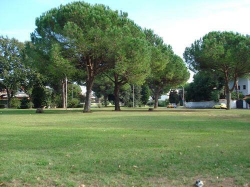Bed & Breakfast Villa Axa
