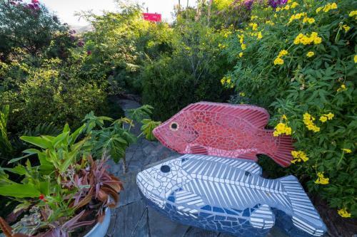Hotel Los Colibris Casitas