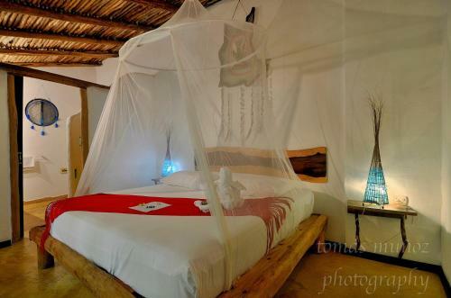 Bed & Breakfast Pacha Tulum