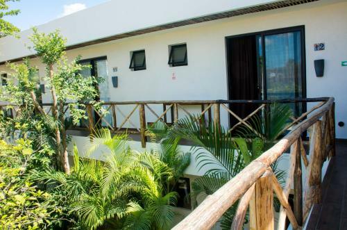Bed & Breakfast Pacha Tulum