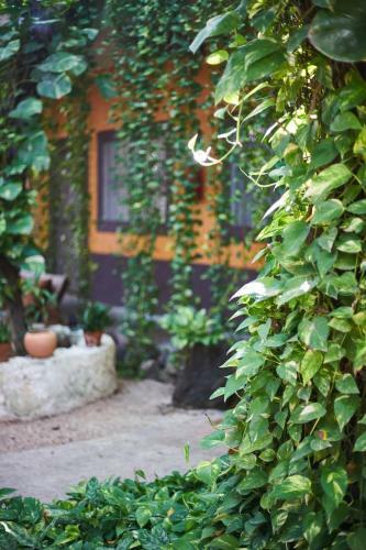 Secret Garden Tulum Hotel
