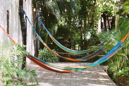 Bed & Breakfast Tunich Jungle Caba�as