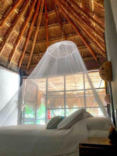 Bed & Breakfast Tunich Jungle Caba�as