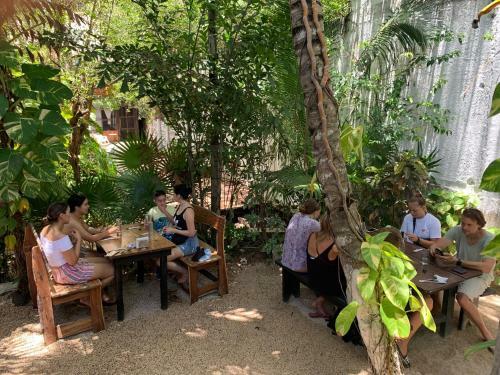 Bed & Breakfast Tunich Jungle Caba�as