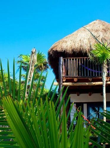 Apartamento Playa Selva