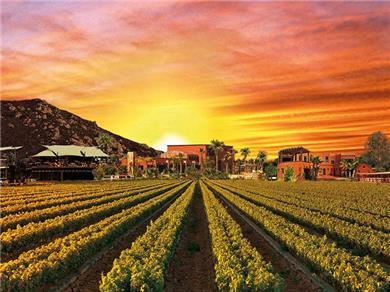 Hotel Boutique Valle De Guadalupe