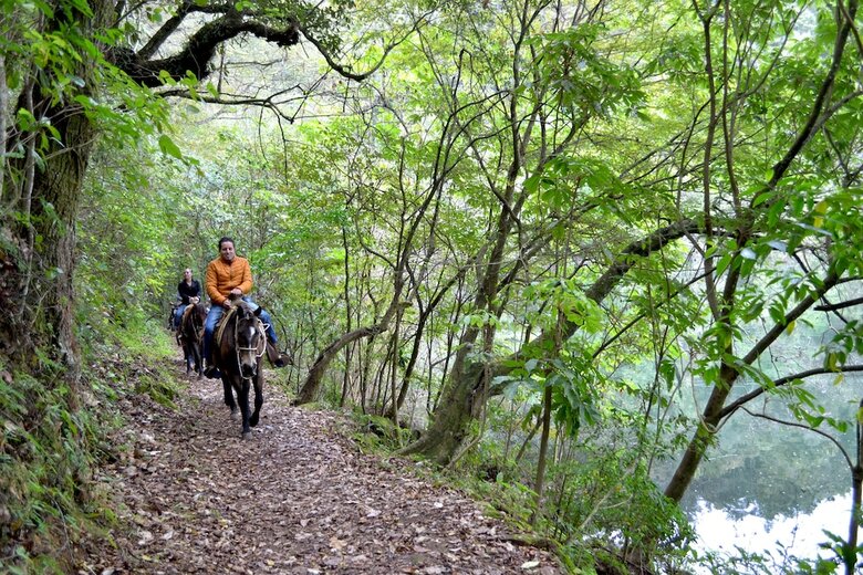 Hotel Zirahuen Forest And Resort