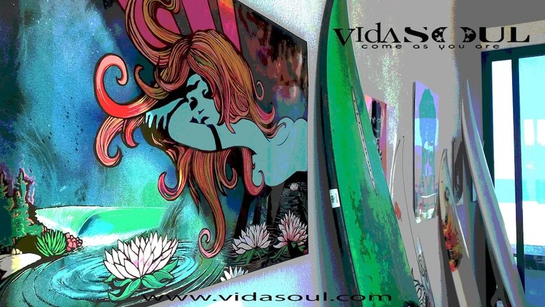 Hotel Vidasoul