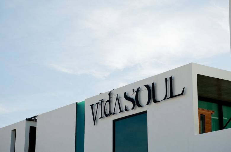 Hotel Vidasoul