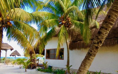 Hotel Palapas Del Sol