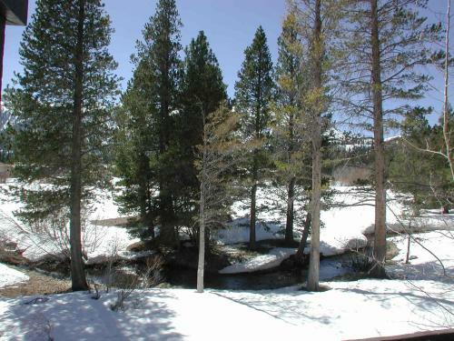 Hotel Snowcreek Resort