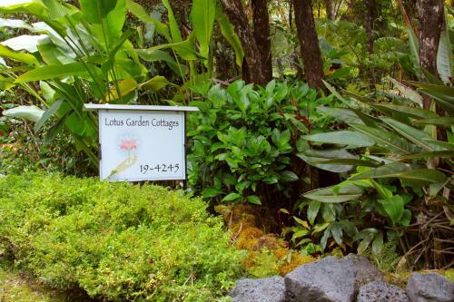 Bed & Breakfast Lotus Garden Cottages