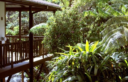 Bed & Breakfast Lotus Garden Cottages