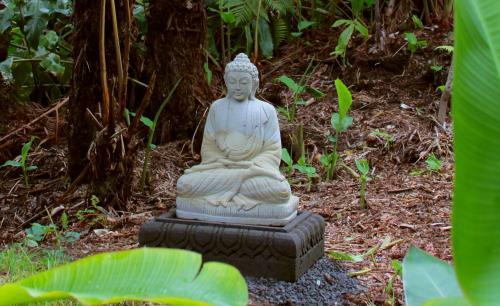 Bed & Breakfast Lotus Garden Cottages