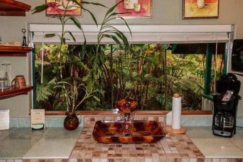 Lodge Chalet Kilauea Collection