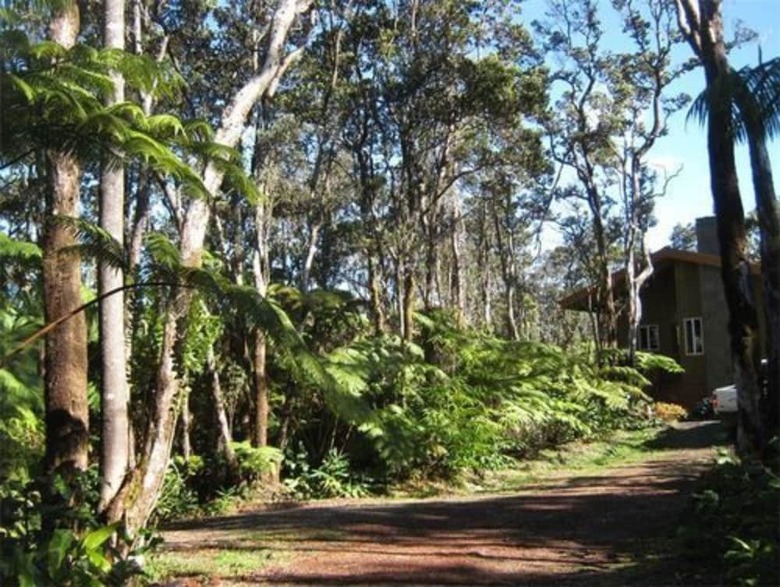 Volcano Singing Forest Cottage
