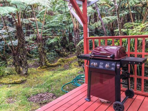 Hale Nahele By Hawaii Volcano Vacations