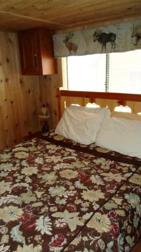 Cedar Pines Resort
