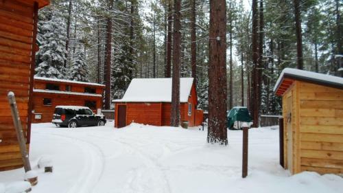 Cedar Pines Resort