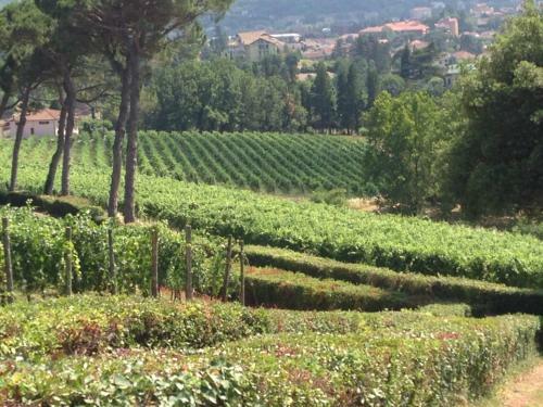 Bed & Breakfast Affitta Camere Casa Liberty