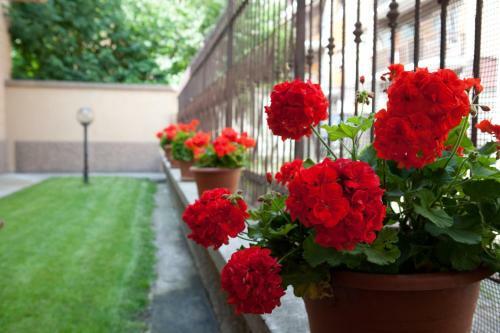 Bed & Breakfast Affitta Camere Casa Liberty