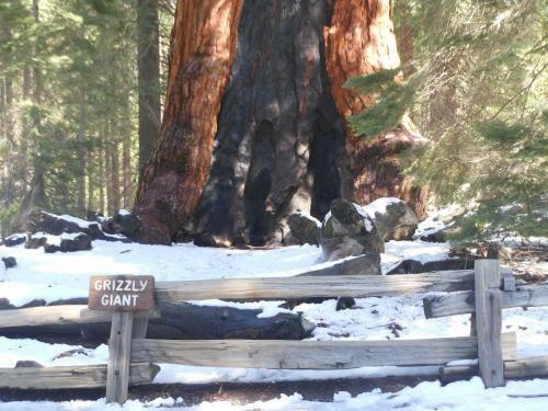 Yosemite Gateway Rentals