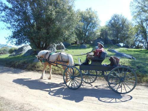 Yosemite Gateway Rentals