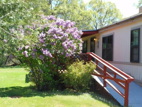 Yosemite Gateway Rentals