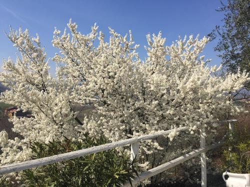 Agroturismo Agriturismo Il Pigno