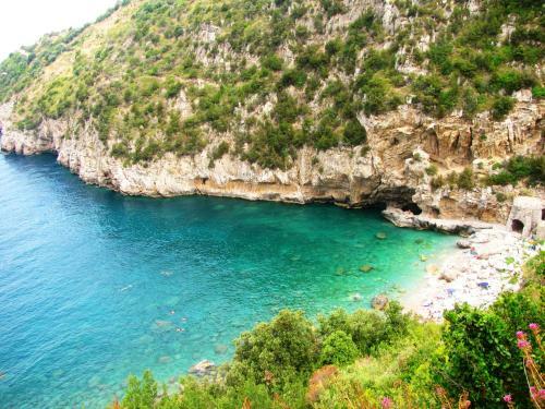 Agroturismo Il Pettirosso Agriturismo