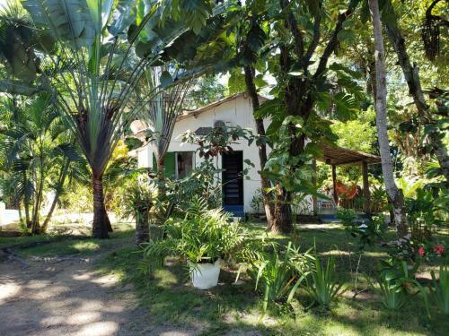 Hostal Chal�s D'oliveira